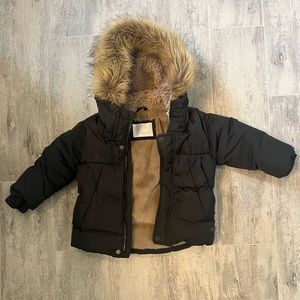 Zara Toddler Jacket 12-18 months. Removable hood.